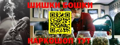 молекула духа Кингисепп