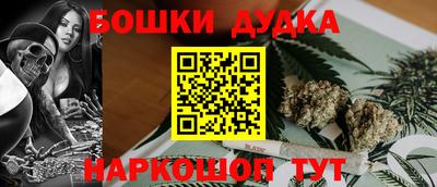 молекула духа Кингисепп