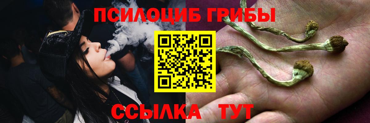 Псилоцибиновые грибы прущие грибы  Вход с VPN  Кудымкар 